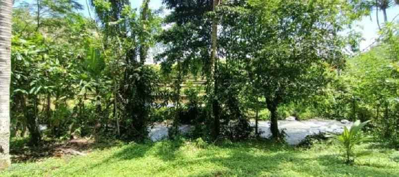 dijual tanah selemadeg tabanan bali