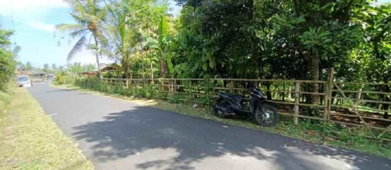 dijual tanah selemadeg tabanan bali