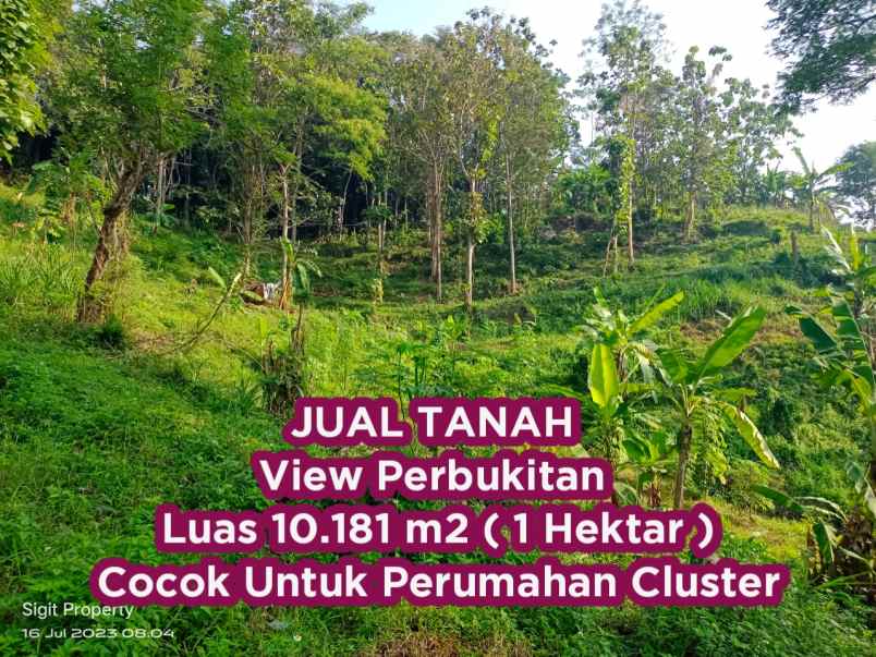 dijual tanah siroto