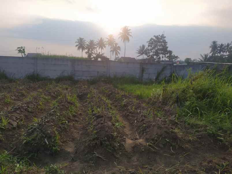 dijual tanah sudimoro