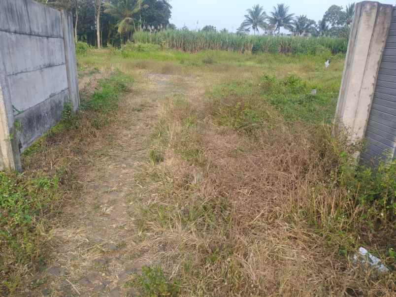 dijual tanah sudimoro