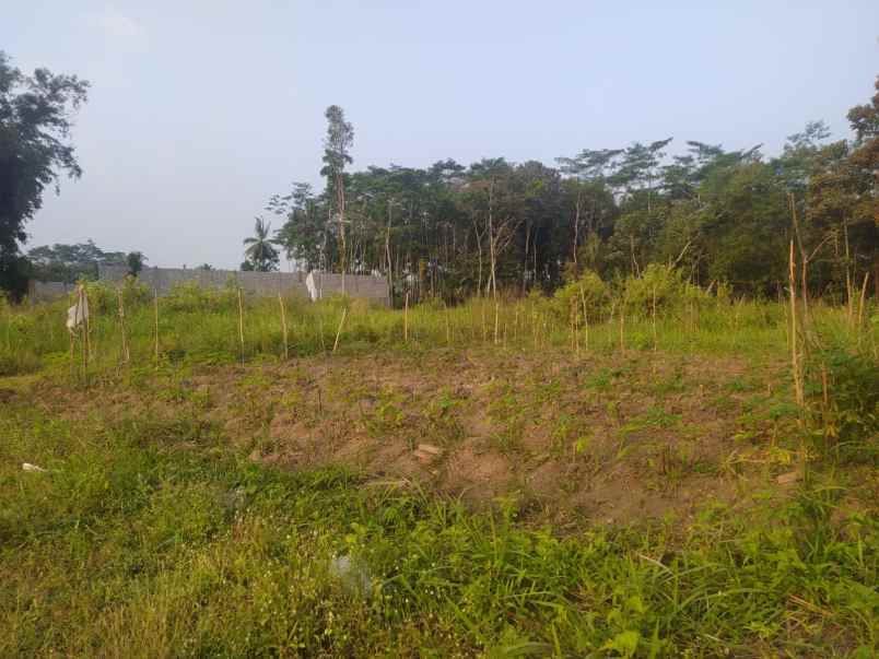 dijual tanah sudimoro