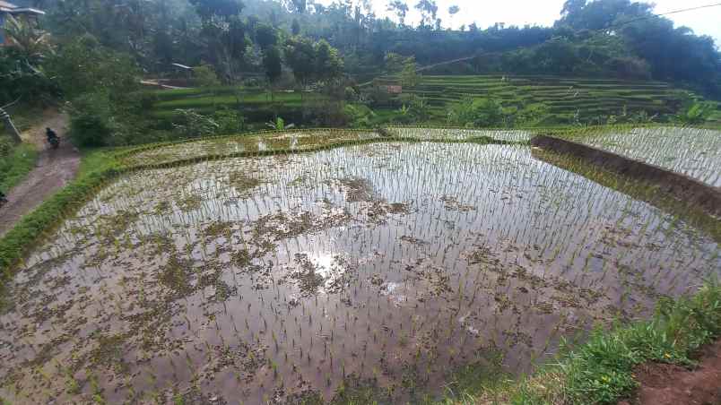 dijual tanah sumedang selatan