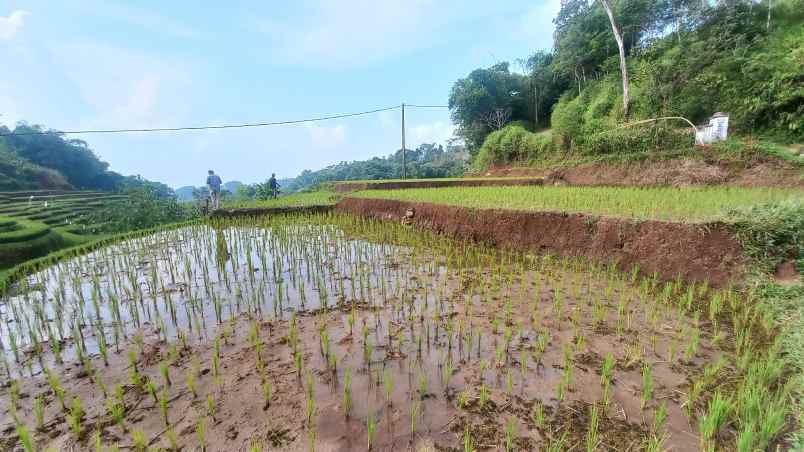 dijual tanah sumedang selatan