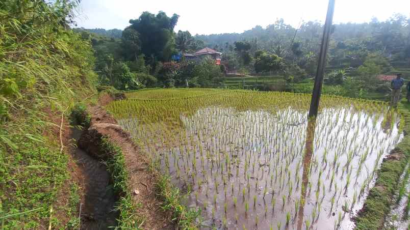 dijual tanah sumedang selatan