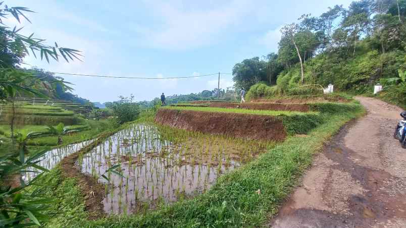 dijual tanah sumedang selatan