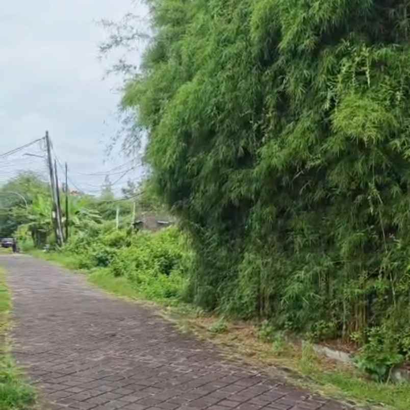 dijual tanah taman kebo iwo