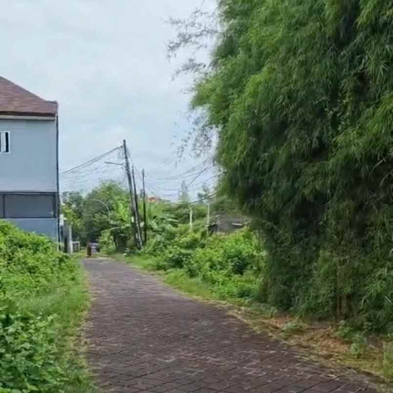 dijual tanah taman kebo iwo