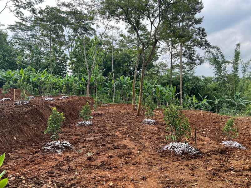 dijual tanah tamansari kerjo