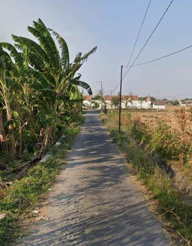 dijual tanah tanjek wagir krembung sidoarjo