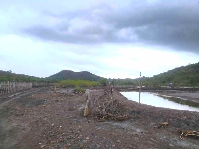 dijual tanah tanjung bila sumbawa