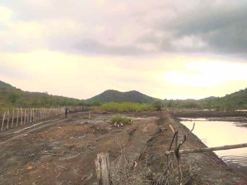 dijual tanah tanjung bila sumbawa