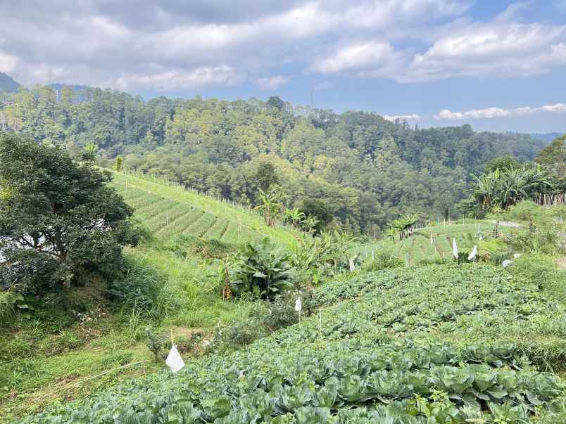 dijual tanah tawangmangu karanganyar