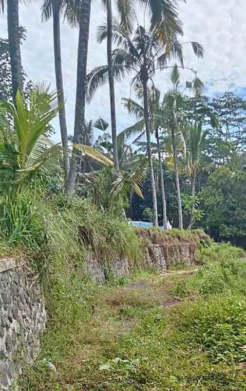 dijual tanah tegallalang gianyar bali