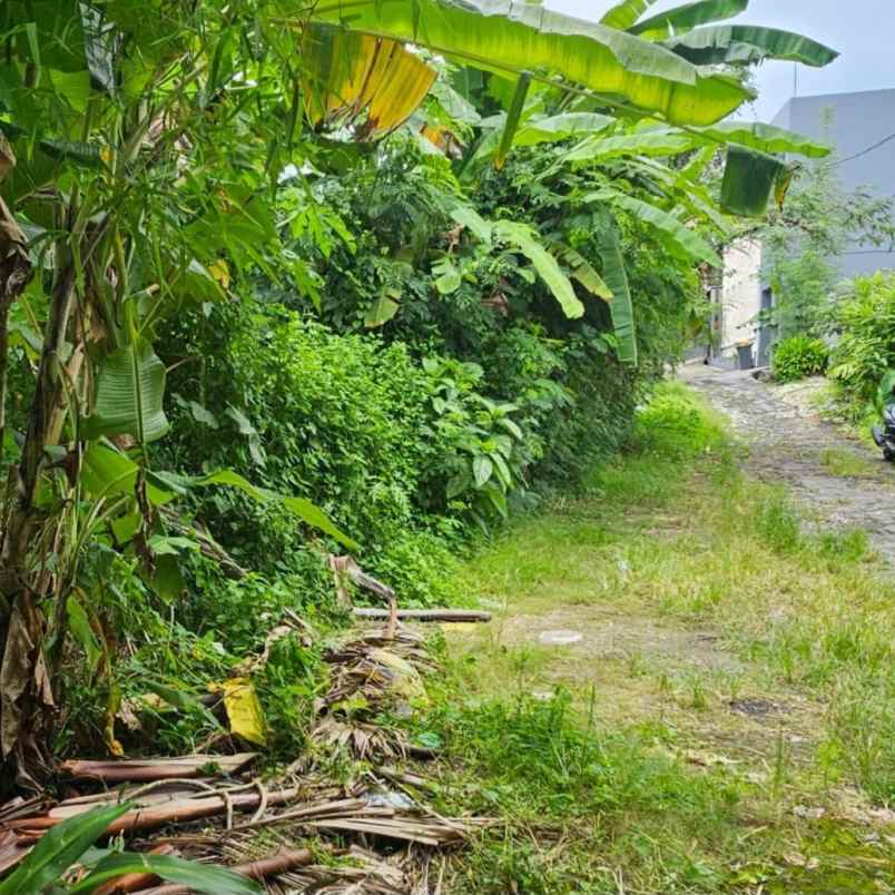 dijual tanah umalas klencung