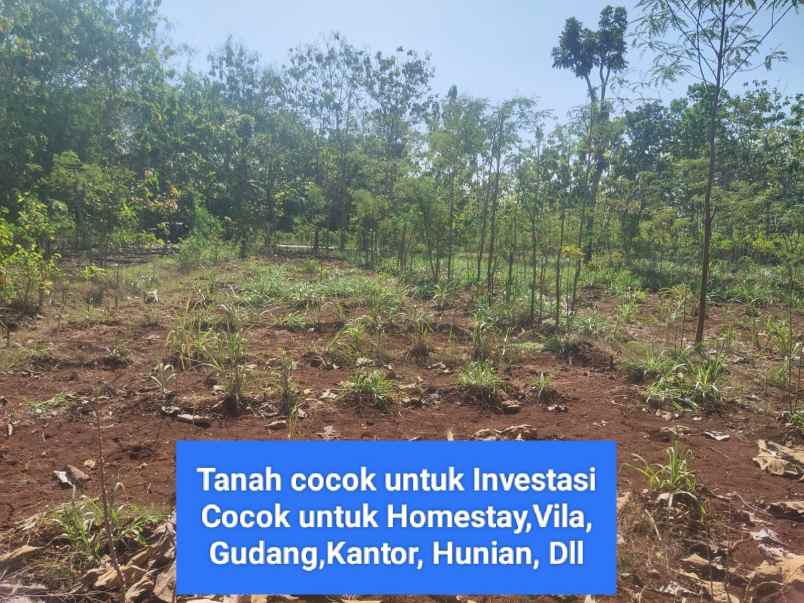 dijual tanah wonosari