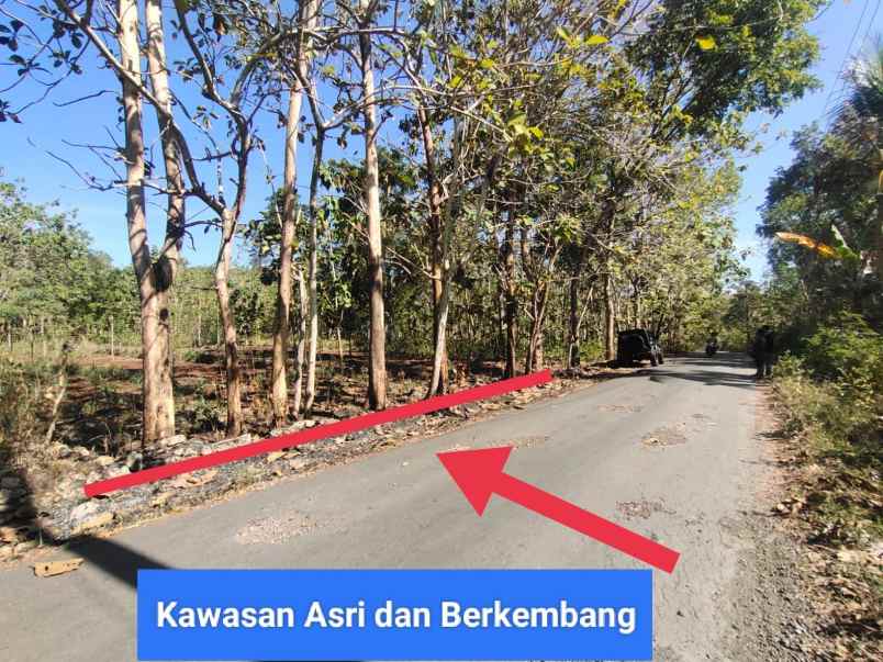 dijual tanah wonosari