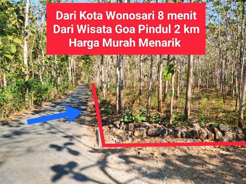 dijual tanah wonosari