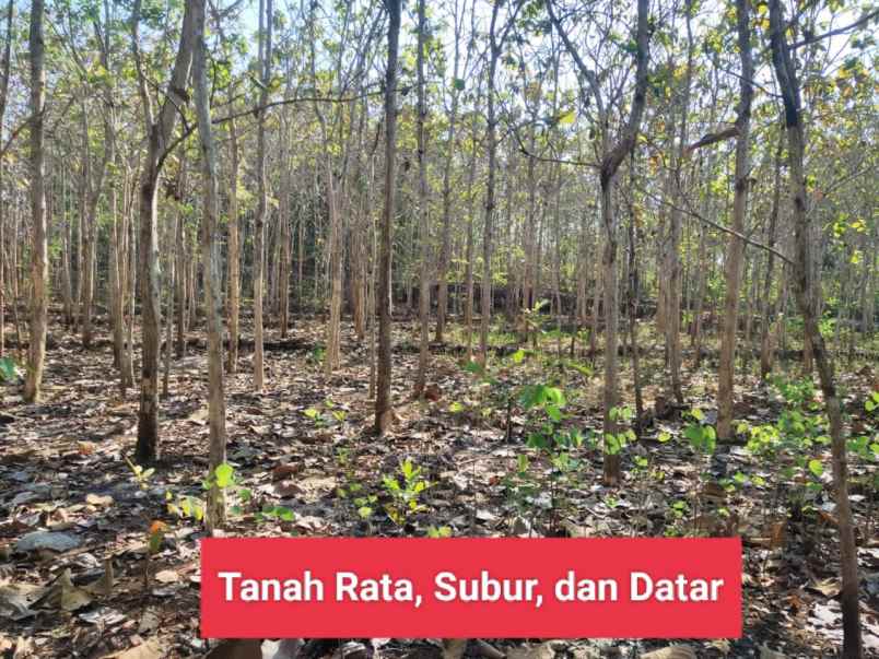 dijual tanah wonosari