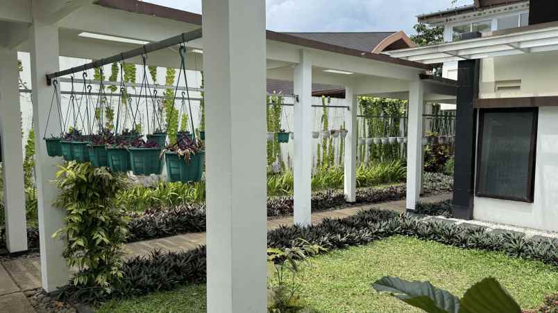 dijual villa ciawi gadog