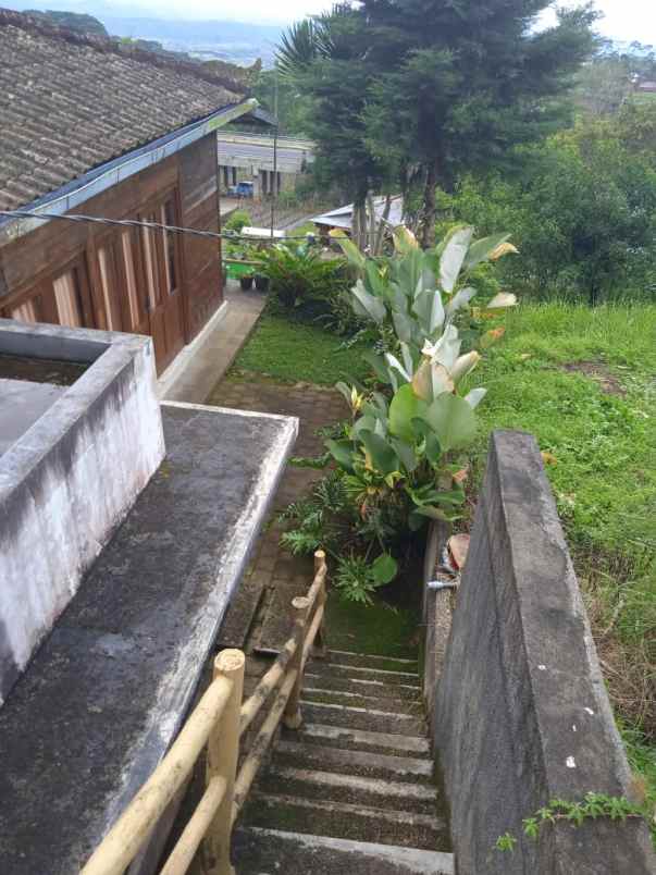 dijual villa jl raya pancasari batunya