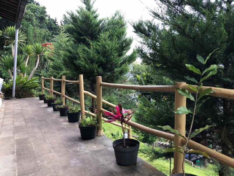 dijual villa jl raya pancasari batunya