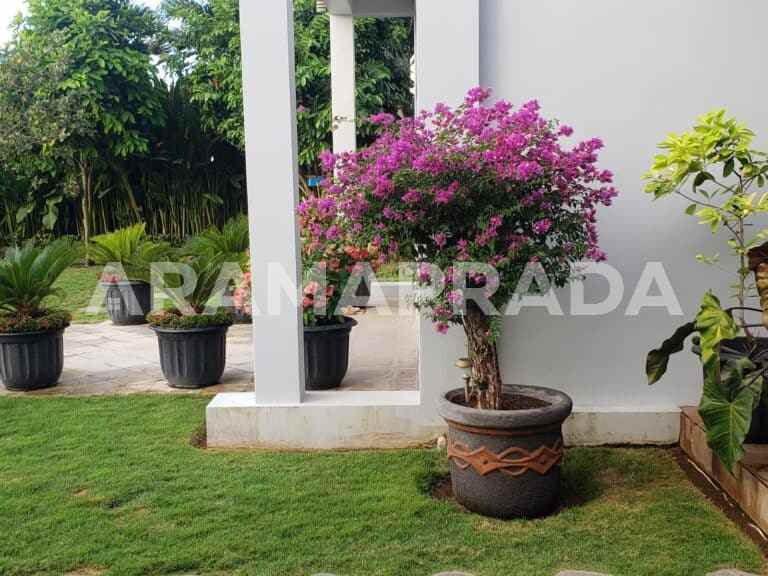 dijual villa singaraja