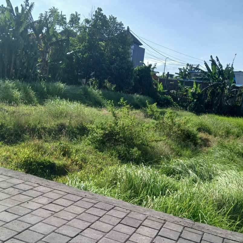 disewakan tanah cargo