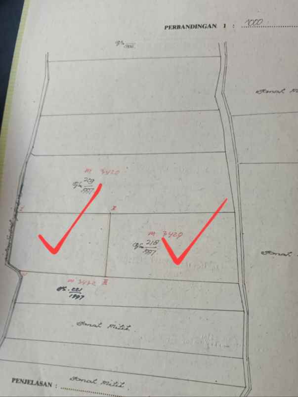 disewakan tanah cargo