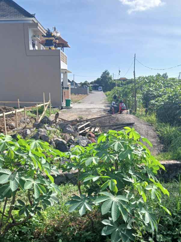 disewakan tanah cargo