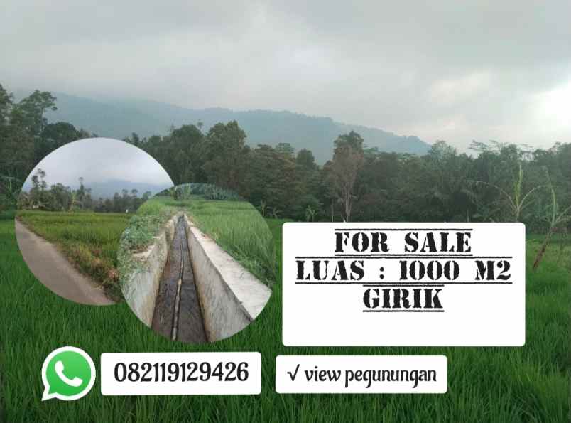 for sale sawah produktif view bagus subang jawa barat