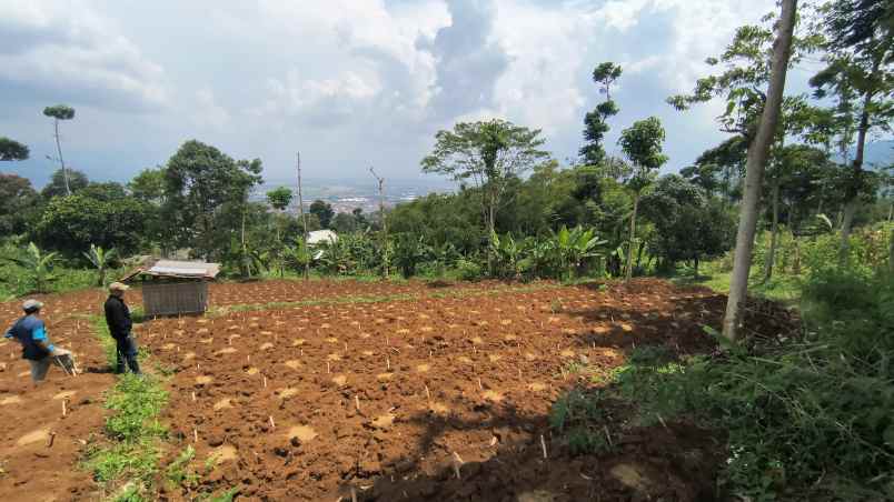 jual cepat tanah istimewa sumedang