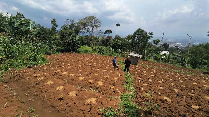 jual cepat tanah istimewa sumedang