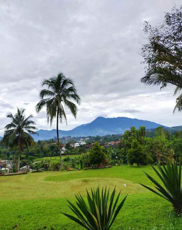 jual hotel resort bagus di kawasan megamendung bogor