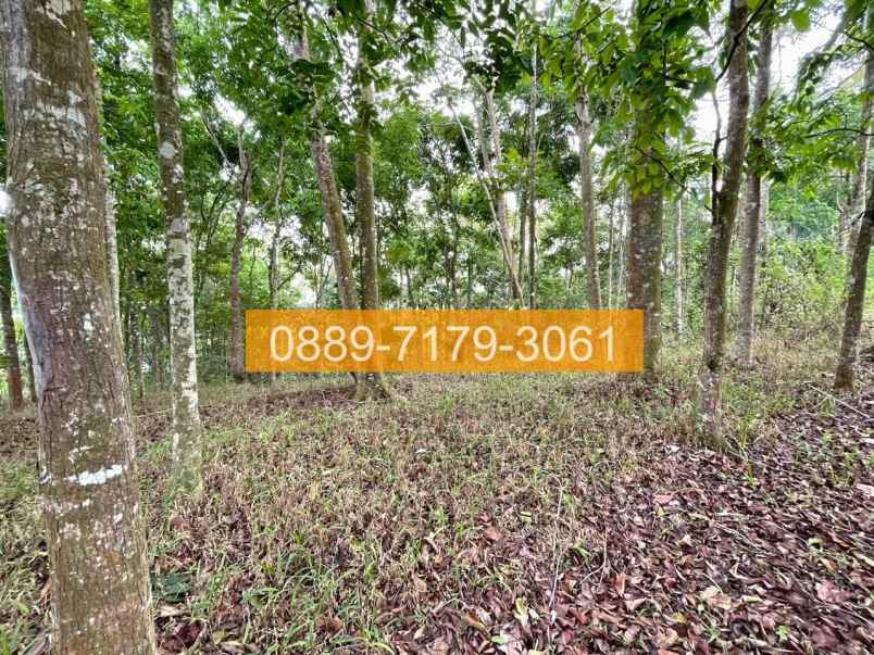 jual tanah panjalu ciamis jawa barat 8f05a5