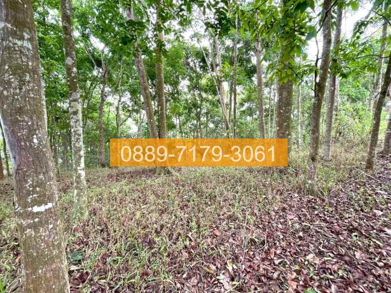 jual tanah panjalu ciamis jawa barat 8f05a5