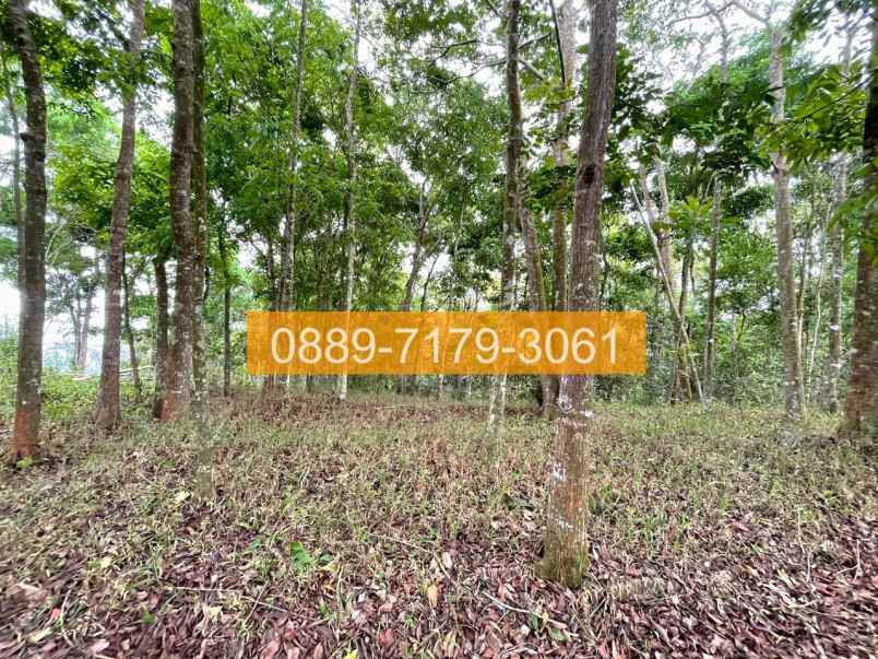 jual tanah panjalu ciamis jawa barat 8f05a5