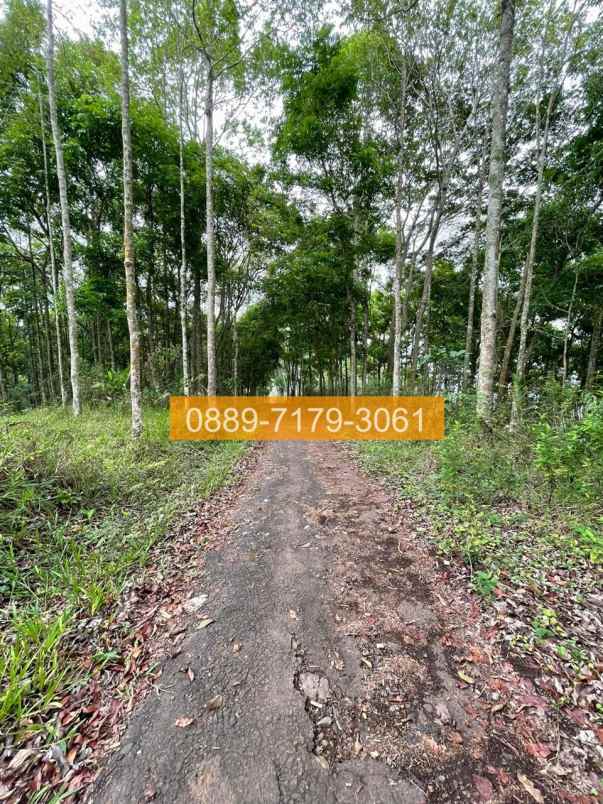 jual tanah panjalu ciamis jawa barat 8f05a5