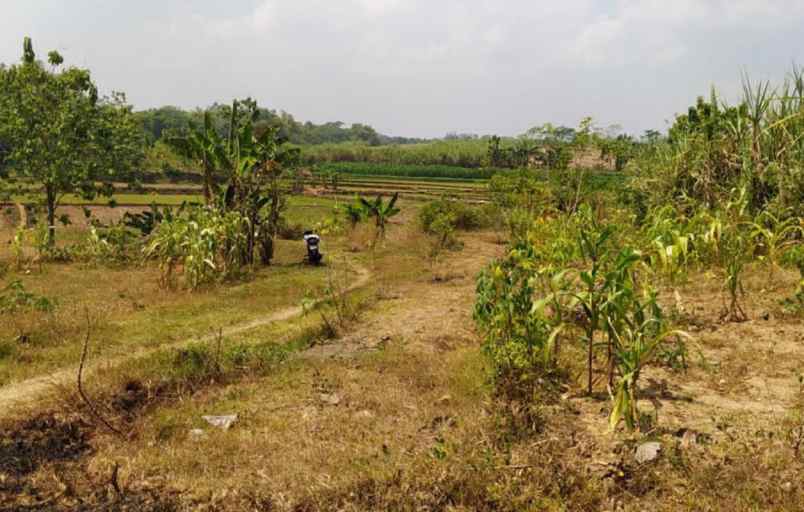 jual tanah strategis di desa langen harjo sukoharjo