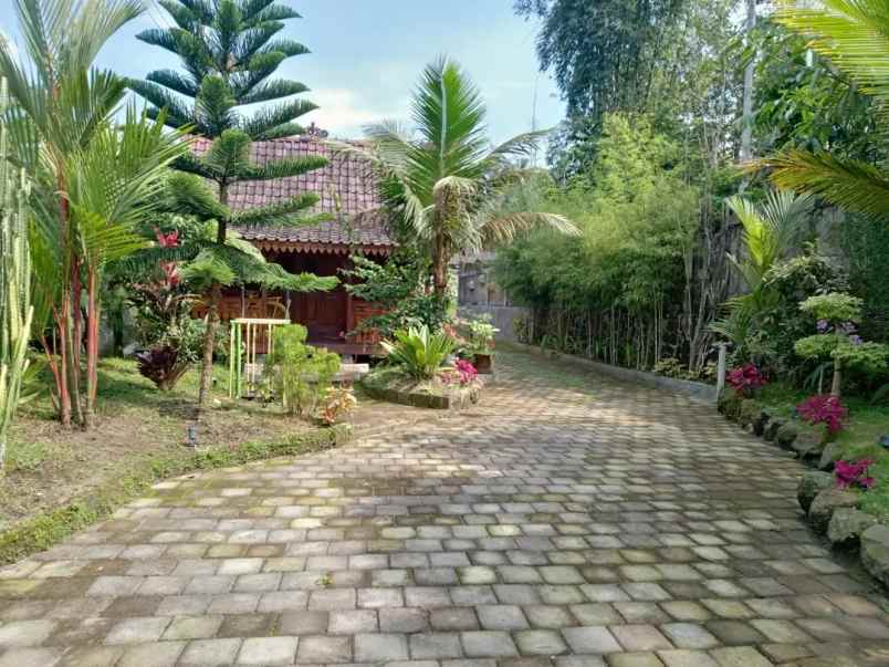 jual villa murah tanah luas turi sleman yogyakarta