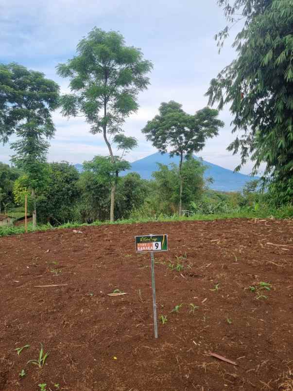 kavling villa premium di ciawi puncak bogor