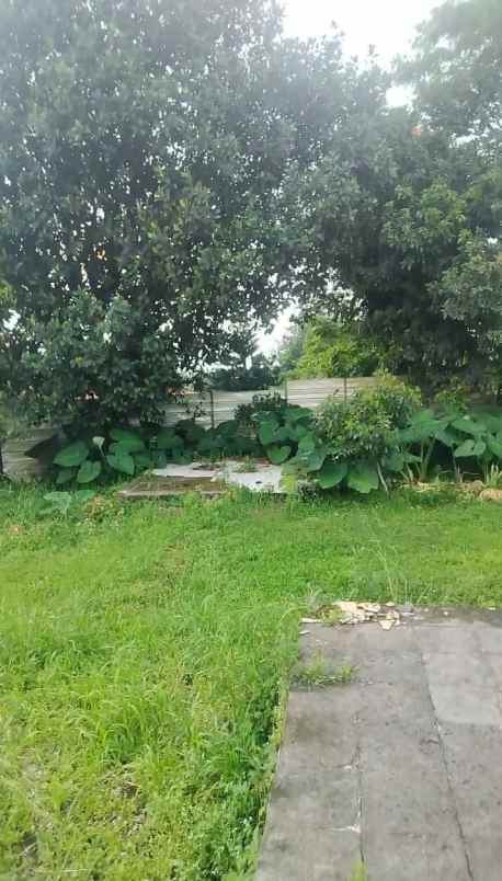 lahan tanah kosong di area villa edelwis