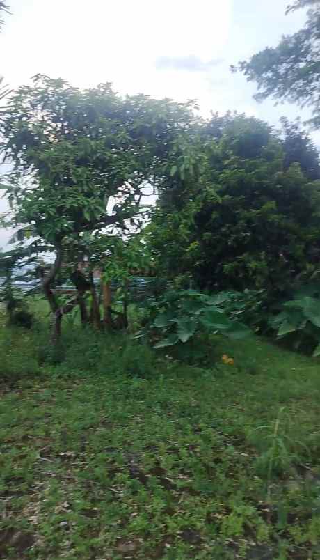 lahan tanah kosong di area villa edelwis