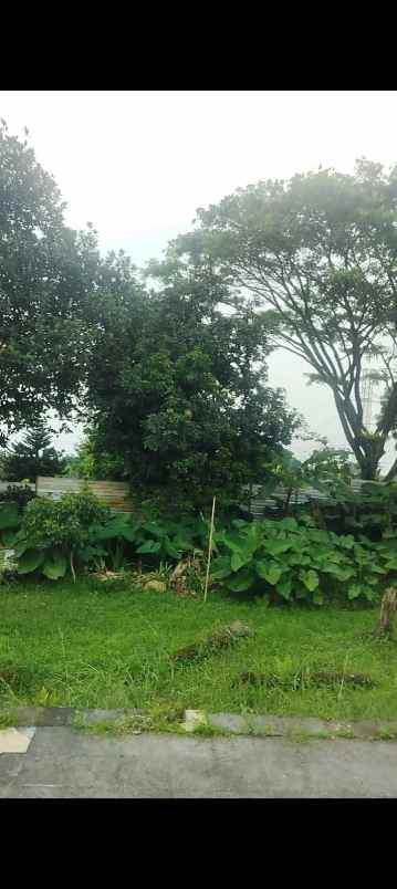 lahan tanah kosong di area villa edelwis