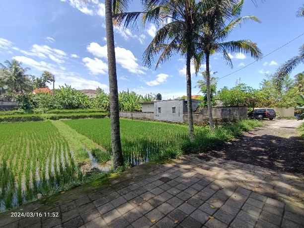 land for leasehold in tirta tawar ubud