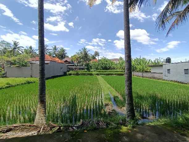 land for leasehold in tirta tawar ubud