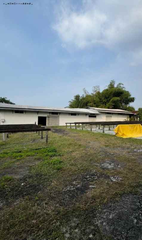 pabrik bihun nol jalan raya gondang mojokerto