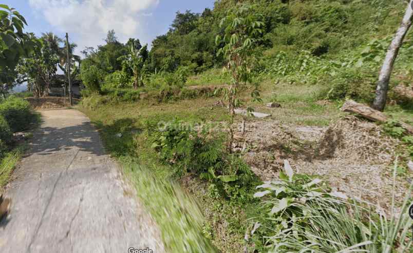 pekarangan view cantik di dekat kopi ampirono