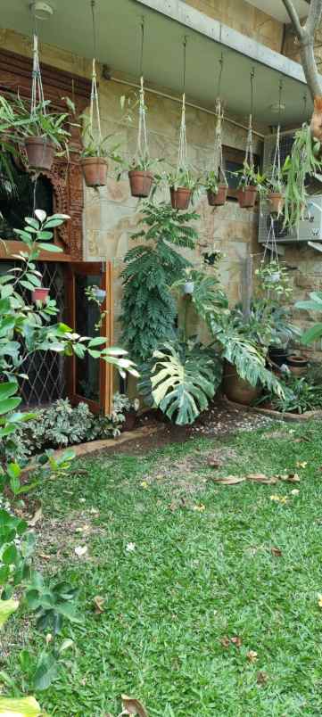 rumah cantik di bukit cinere indah