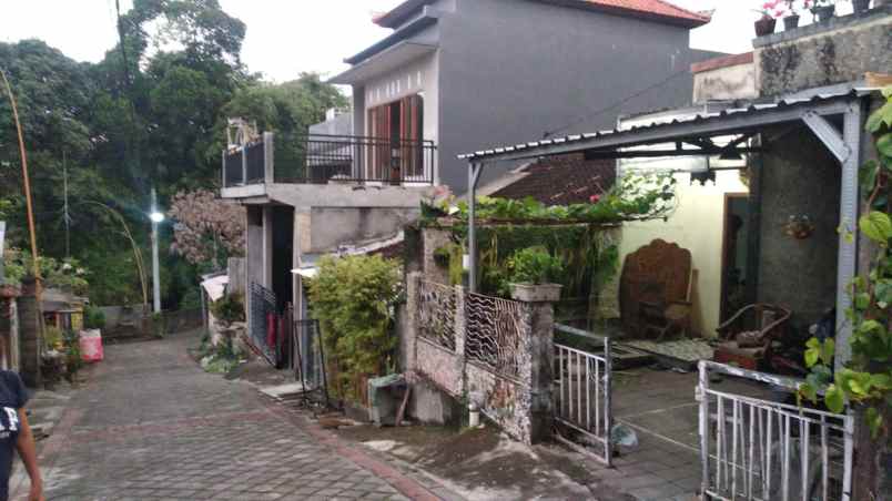 rumah di canggu bali jalan kayu tulang utara